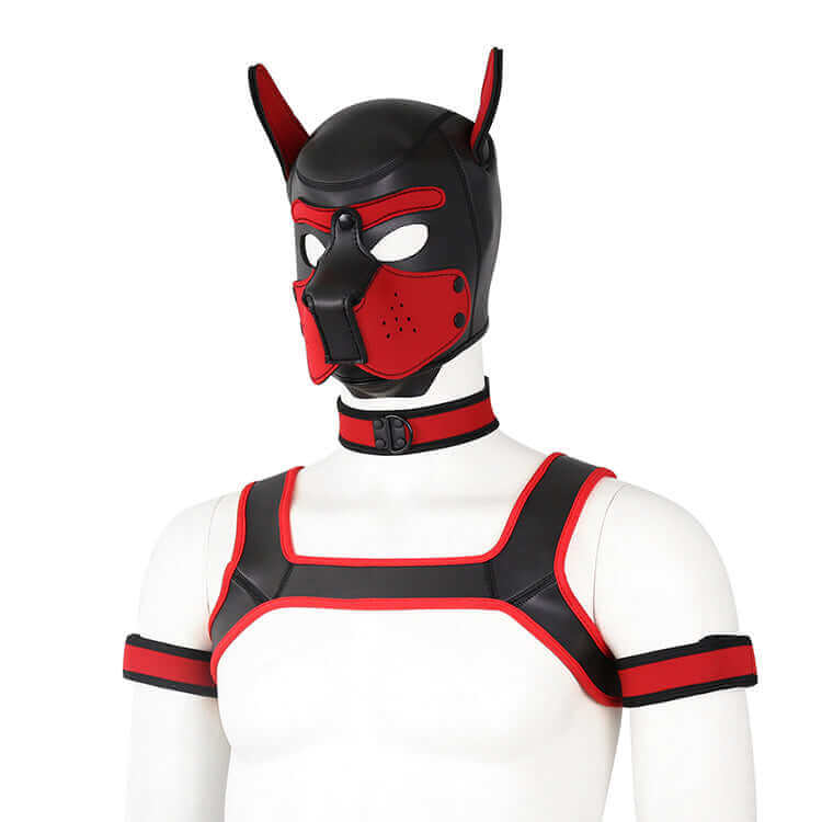 ALPHA PUP HOOD SET - Red & Black