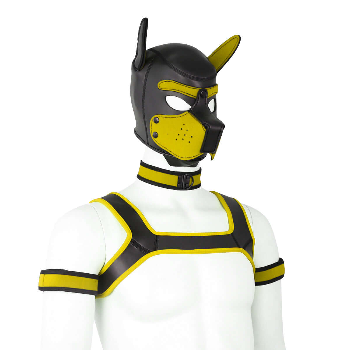 ALPHA PUP HOOD SET - Yellow & Black