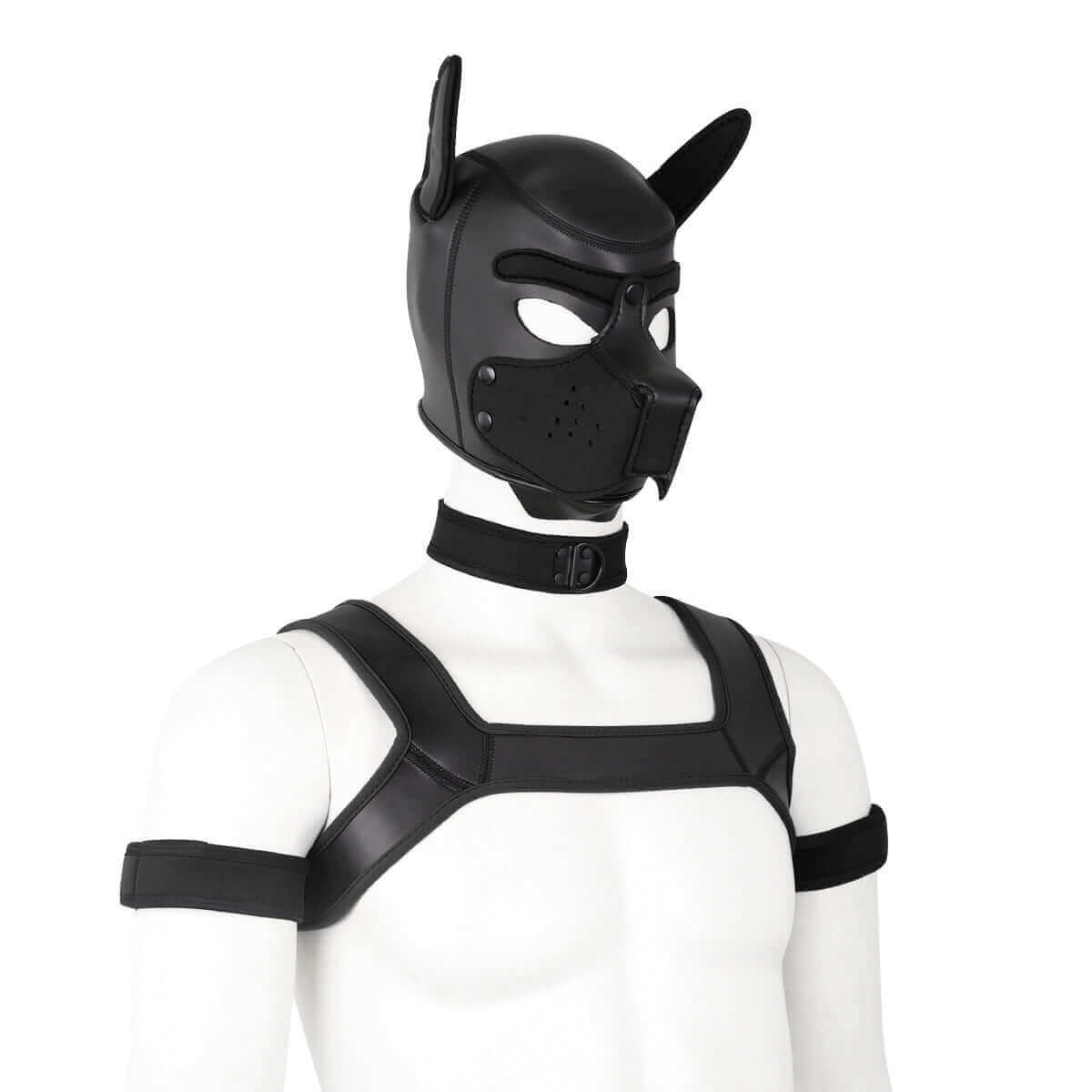 ALPHA PUP HOOD SET - Black