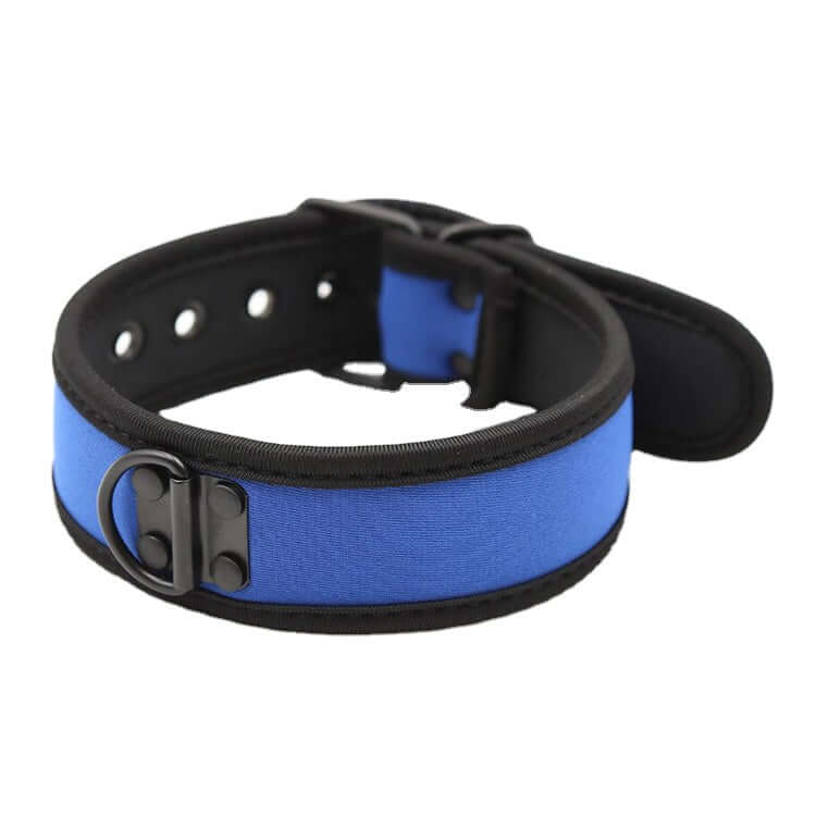 BETA PUP COLLAR - Blue