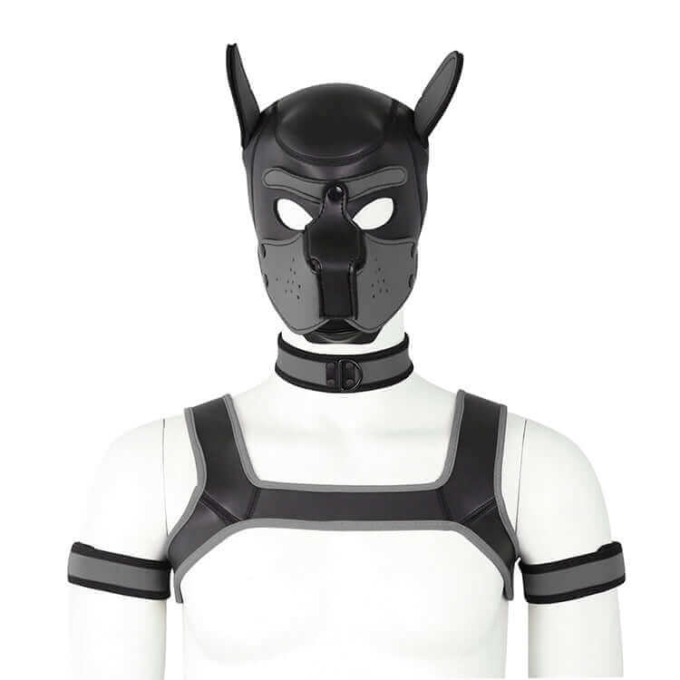 ALPHA PUP HOOD SET - Grey & Black