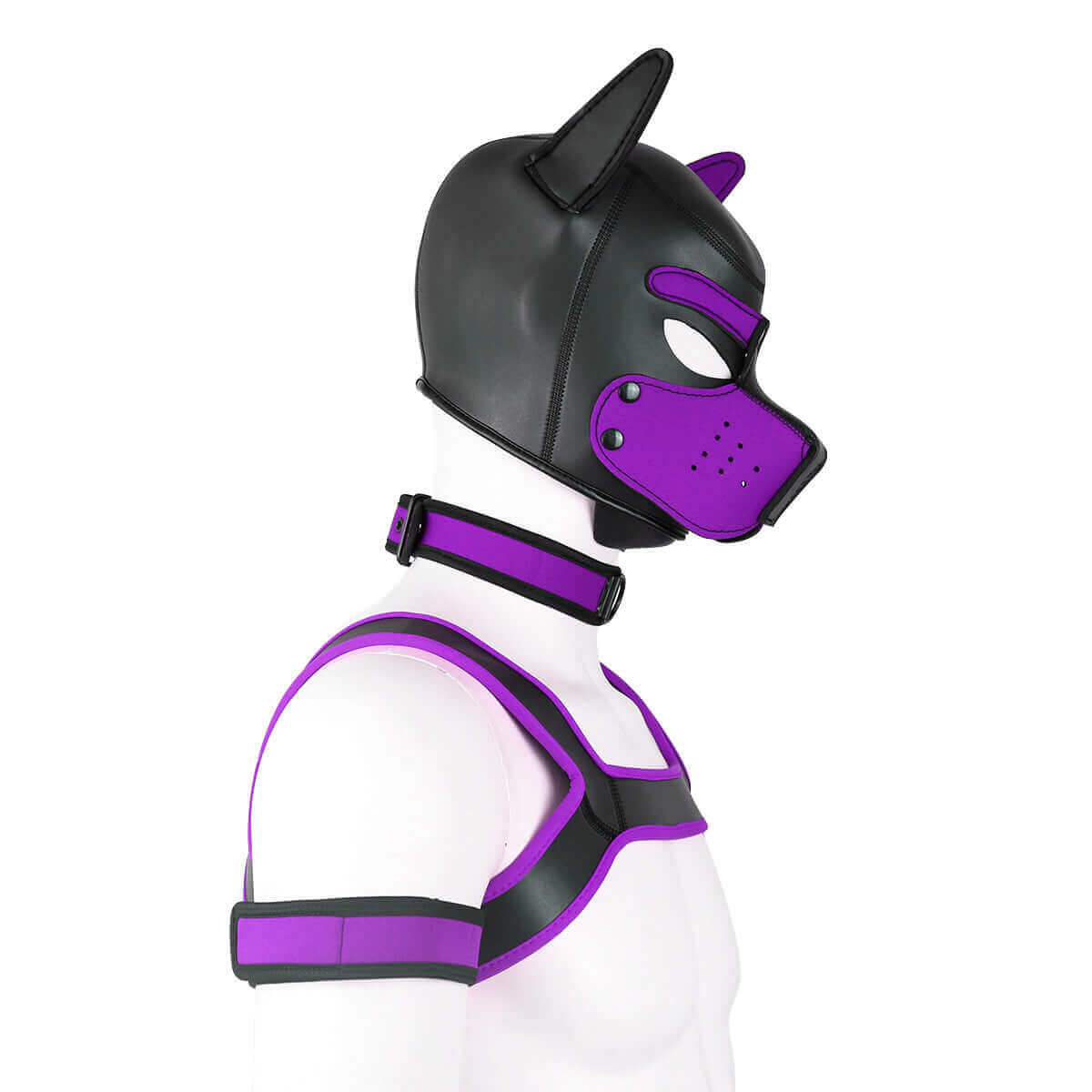 ALPHA PUP HOOD SET - Purple & Black