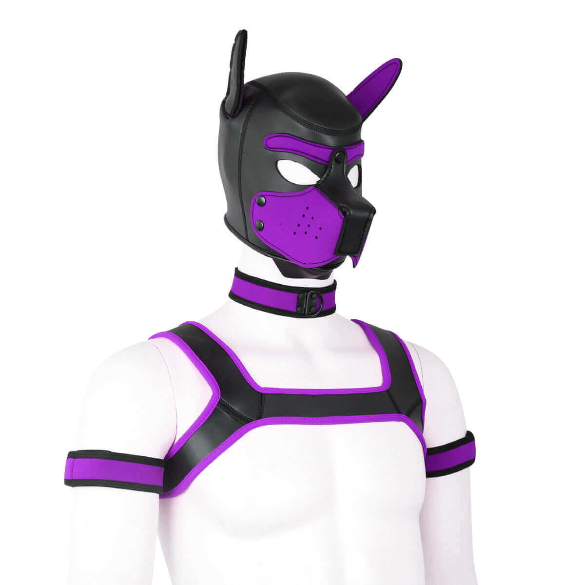 ALPHA PUP HOOD SET - Purple & Black